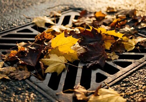 Fallen autumn leaves cluttering a storm drain on a wet pavement, hinting at the changing season and nature's cycle